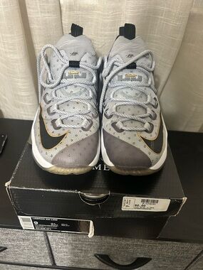Men’s LeBron James Shoes Size 9